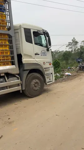 mỗi sáng sớm khi ae gặp nhau #fow #tim #bausuri #@