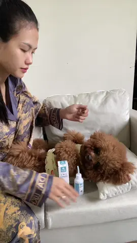 mỗi lần se tai là mẻ hêê 😆#muốithíchbơi #ilovetiktok 