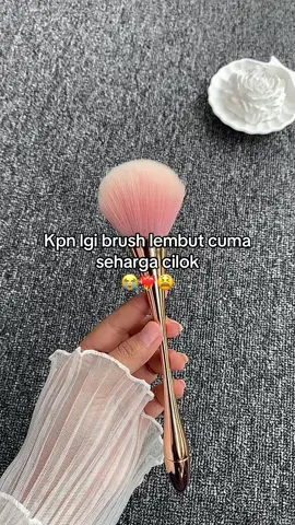 #brush #brushmakeup 