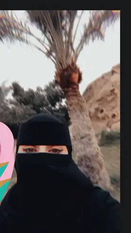 لا ..ما نسيتك كيف بانساك ما دام. ذكرى الفراق تهزني لو نسيتك. حبك قدر وانا على دين الاسلام.#ترند_تيك_توك #فولو🙏🏻لايك❤️اكسبلور🙏🏻🌹💫 #هاشتاق #شعب_الصيني_ماله_حل😂😂 