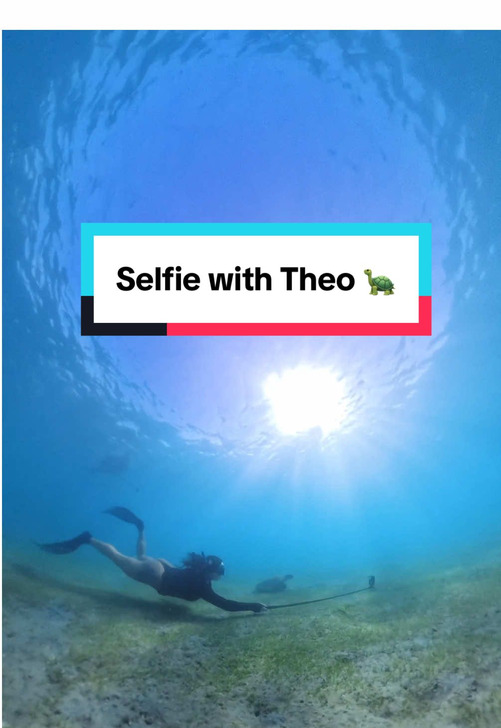 🐢 🤳🏻 #selfie #turtle #ocean #underwater 