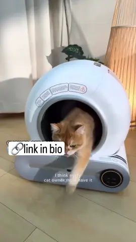 Pet Home Essential🔥🎁  🔗LINK IN BIO #catlitter #catlitterbox #petlover #pet #petlover 