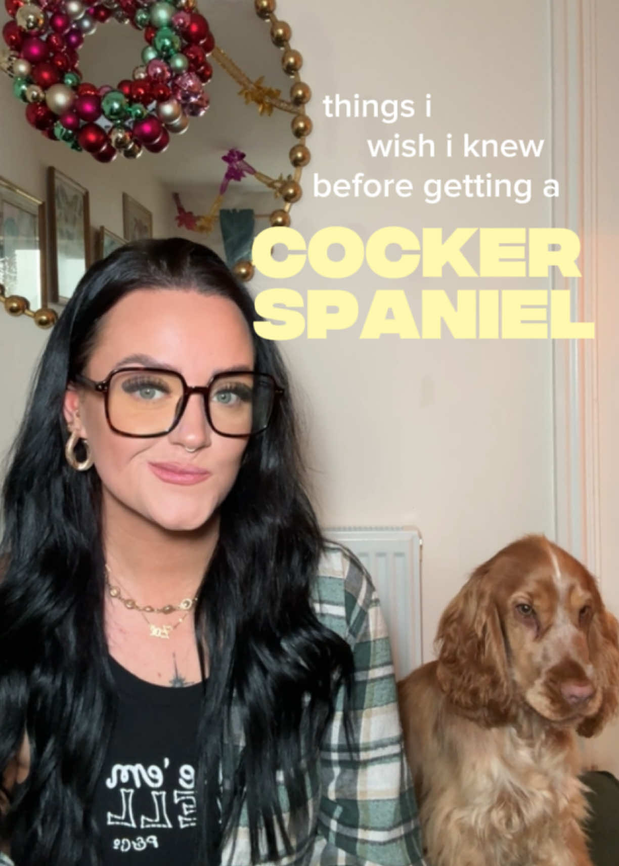 here are things i WISH i knew before getting a show cocker spaniel! 🐾 shes the best thing weve ever ever done, but i didnt know a few of these things 🫢  #dogtiktok #showcockerspaniel #ugc #explore 