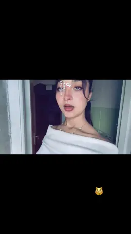 😽😽😽😽😽😽😽