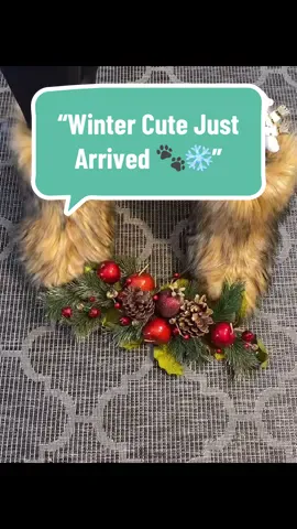 These mid-calf suede cuties are warm, comfy, and perfect for indoor lounging or outdoor walks. They come in black, brown, pink, and white — and honestly, every color is giving winter cozy vibes #FurryBootSeason #CozySteps #WinterCozyVibes #ColdWeatherEssentials #CuteWinterShoes
