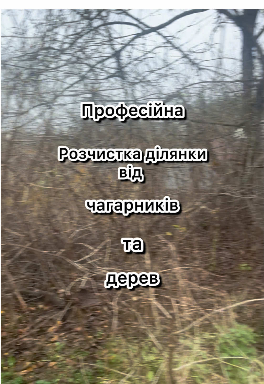 Розчистка території від рослинності під забудову #розчисткаділянок #ландшафтнийдизайн #ділянка #видаленнядерев #бензопила 
