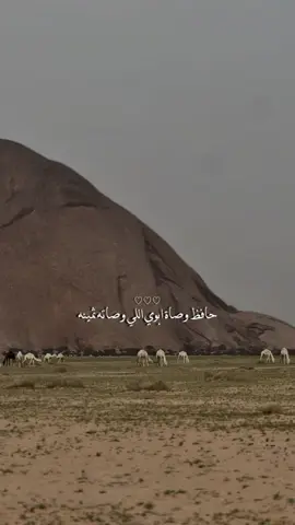 حافظ وصاة ابوي الي وصاتة ثمينه#اكسبلورررررررررررررررررررر #اكسبلور 