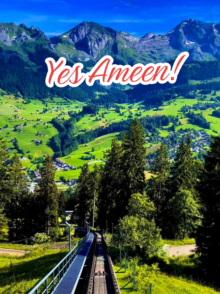 Yes Ameen#oromotiktok #fyp #CapCut #ethiopian_tik_tok #foryou 