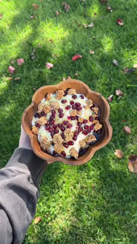 Full day of eating 🥩🍯 Granola from The Celiac Code by @glutenfreewithshelly !! @Heart & Soil Supplements IZZY10 @Cowboy Colostrum IZZY #animalbased #highproteinmeals #healthymealideas #wholefoods #realfood 