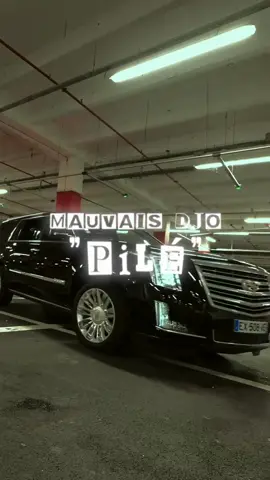 CLIP DISPONIBLE LA FAMILLE PILÉ PILÉ PILÉ ! 🔥👀#soyezpret #nojoke #MauvaisDjo #pourtoi 