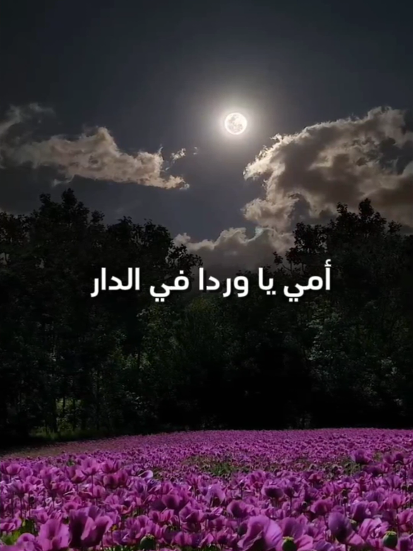 لكي يا أمي 🤎✨ #اغنية #كرتون_زمان #سبيستون #أغاني_سبيستون #tiktoklongs 