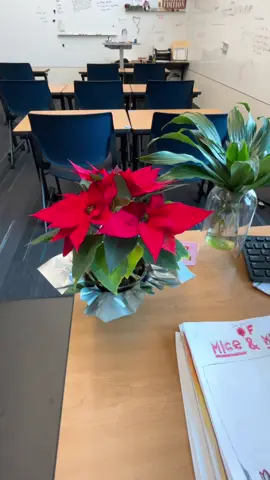Christmas decorations 🤗 #missg #yourfavoriteteacher #highschoolteacher #christmasdecorations