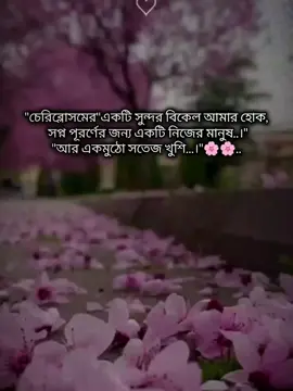 cherry blossom🌸🌸🌸🌸 #fyp #foryou #foryoupage #unfrezzmyaccout #viralvideo @TikTok Bangladesh 
