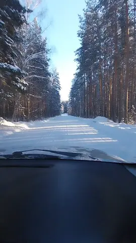 #работа #снег #сдобротой #терапиядуши 