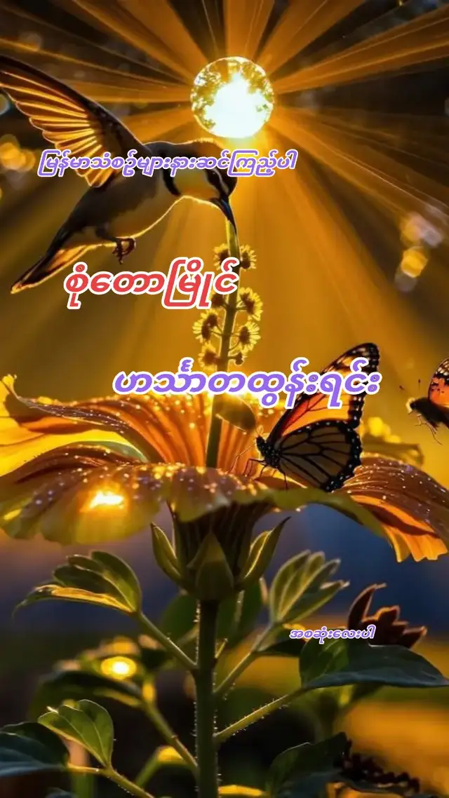 #စုံတောမြိုင် #ဟင်္သာတထွန်းရင် #မြန်မာသံစဥ်များကိုချစ်မြတ်နိုးသူ❤️❤️❤️ #မင်းတို့ပေးမှ❤ရမဲ့သူပါကွာ #@𝘼𝙐𝙉𝙂 𝘽𝙃𝙊𝙉𝙀 𝙈𝙔𝘼𝙏 