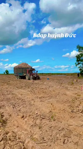 Nhỏ con cọp 🙃😊#xuhuong #f 