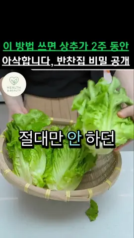 겉은 멀쩡한데 속은 썩는 상추, 보관법이 완전히 틀렸습니다 #건강  #식품  #건강정보  #노인건강  #생활꿀팁