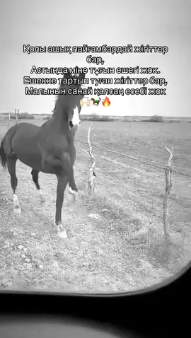 #fyp #көкпар #нақылсөздер 