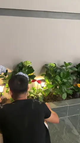 Giờ đèn nó đẹp và hiện đại thật