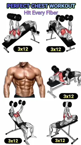 chest exercises #creatorsearchinsights #fit#gym#viral #fyp 