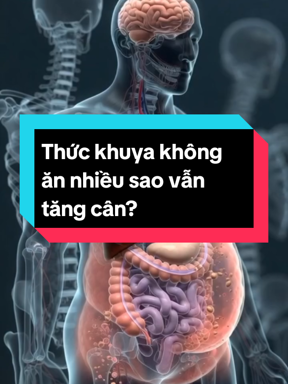 thức khuya không ăn nhiều, vì sao vẫn tăng cân? #duocsituong #tiktokhealth #suckhoe #suckhoechomoinguoi #kienthucsuckhoe 