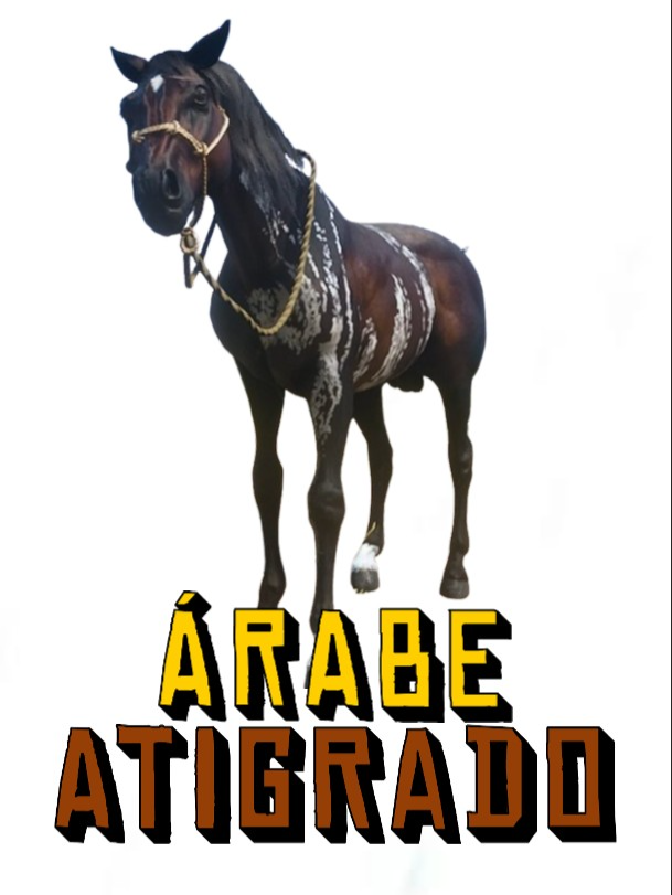 🐎 Dónde Encontrar al Caballo Árabe Atigrado en RDR2 | #rdr2 #reddeadredemption2 #caballoarabe #arabianhorse #gamingtiktok #rdr2tips #rdr2secrets #videojuegos #gamingenespañol #parati #fyp #shorts