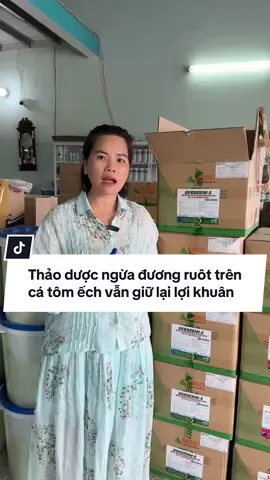 #nuoiech #nuoitomcongnghecao #thuocthuysan #thuocthuysandongtam 