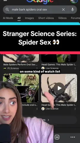 Don’t watch this video at work, or do, who cares lol Back in 2016, a research team led by Matjaž Gregorič, witnessed male bark spiders performing oral sex on female bark spiders to seemingly “stay alive”  and stop female bark spiders from eating them after sex And they don’t just do it once, scientists witnessed male bark spiders perform fellatio up to 100 TIMES y’all! 👀 suggesting this was more than just staying alive but a way to show their fitness as a mate  You can read more here:  Gregorič, M., Šuen, K., Cheng, RC. et al. Spider behaviors include oral sexual encounters. Sci Rep 6, 25128 (2016). https://doi.org/10.1038/srep25128 #insects #spiders #Science #DidYouKnow #EduTok 