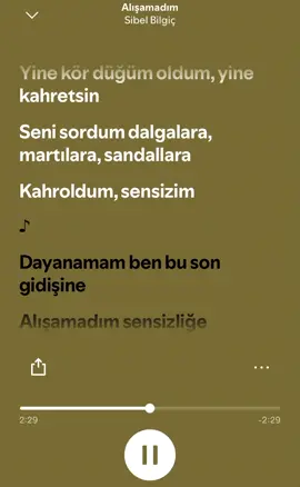 Sibel Bilgiç Alışamadım #sibelbilgiç #alışamadım #spotify #şarkı @Taha_cgl 