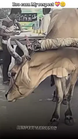 Bro earn my Respect 💝🫡  #respect #respecteveryone #respecteverything #❤️🥺 #videoviral 