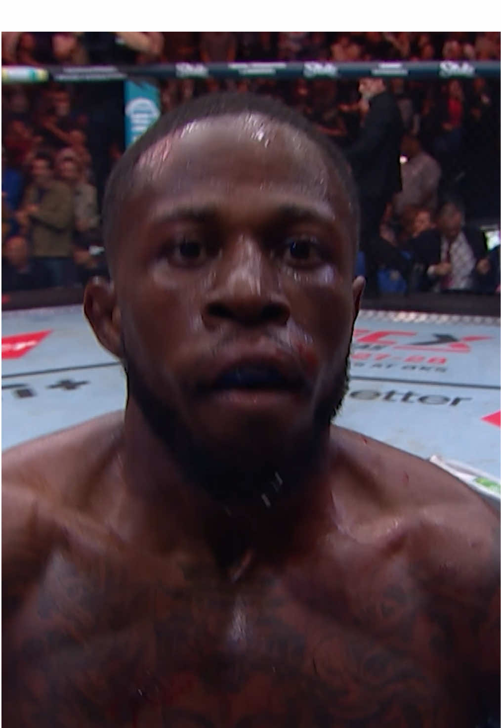 One right hook was all it took. Randy Brown by KO at #UFCKansasCity 💥 👏 #UFC #mma #randybrown 