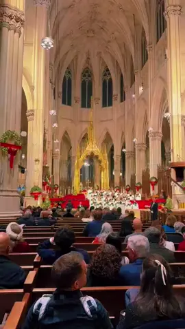 Merry Christmas! 🎄🎁  12.25.25 ST. Patrick’s Cathedral ⛪️🙏❤️ Manhattan, New York City.