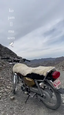 NOTAK Baloch   🕊🦅  