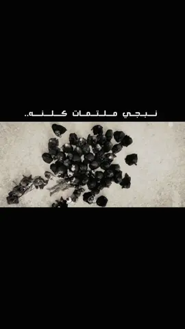 #ياحسين #موكب_ائمه_البقيع_المركزي #واقعة_الطف #يازينب #كربلاء 