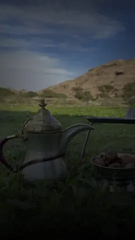 ودي بشمه هواء الذعذاع عصريه في ديره تو باذرها يشوفونه كن الورق فوق وجه الارض زوليه من عقب وسم على الديره يعدونه #بدون_موسيقى #شيلات #ربيع 
