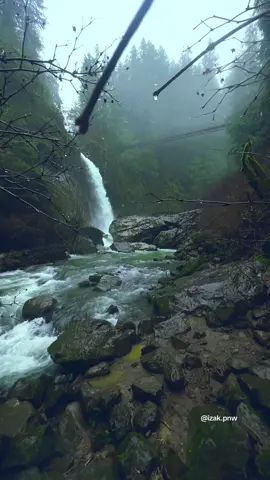 A serene waterfall flows through the emerald green forest of Oregon, where nature feels calm, timeless, and alive. #waterfalls #pacificnorthwest #pnw #beautifuldestinations #nature 