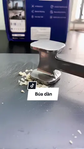 Cây búa dần thịt, đập hành tỏi khá tiện lợi. #buadanthit #buadamthit #buadaphanhtoi 