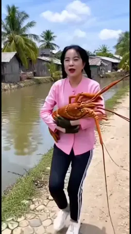 Tôm ơi quay lại 😂