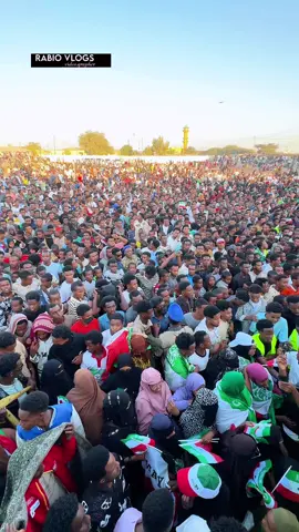 Soomaliland oo U dabaal Dagtay Ictiraafka Somaliland #somalilandtiktok💚🤍❤️ #israil❤️ 