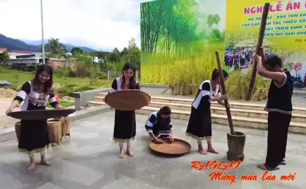 Mừng mùa lúa mới #raglai #damsanks #damsankhanhson #changtrairaglai #dulickhanhson 