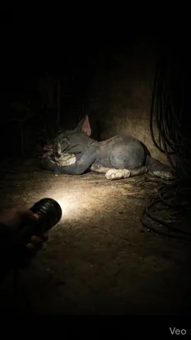 PERSONAGENS ABANDONADOS TOM E JERRY #tomejerry #persongensabandonados #ia #foryoupage #foryou 