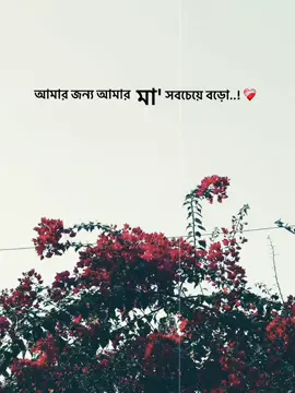 আমার জন্য আমার মা সবচেয়ে বড়ো..! ❤️‍🩹#unfrezzmyaccount #typ #foryou #1millionaudition #foryoupage @TikTok @TikTok Bangladesh @For You 
