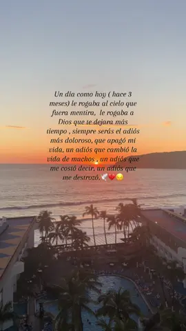 3 meses sin  ti. Y me duele que la vida siga y tu no estés 😔💔