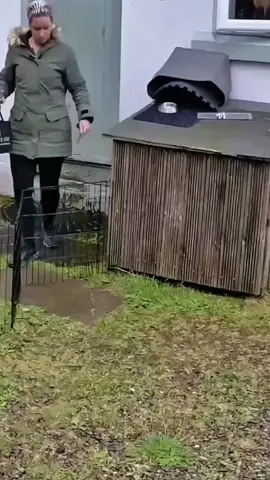 Caught Slipping: Winter’s Funniest Snow Moments” #SnowFail #WinterComedy #SlipAndFall #FunnyVideo #SnowDays 
