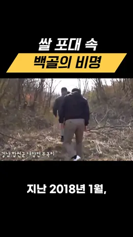 2018년 1월, 경남 합천의 한 야산에서 여행가방 속 여성 백골 시신이 발견됐다. 시신을 묶은 보자기 매듭에서 세 명의 DNA가 검출됐고, 그중 한 명은 전과자 A 씨와 일치했다. 그러나 A 씨는 범행을 부인한 채 2021년 화재 사고로 사망. 범인은 사라졌고, 피해자의 신원은 여전히 미궁이다. 우리가 전한 것은 단지 실마리일 뿐이다. 모든 진실은 그것이 알고 싶다 1457회에서. ⸻ #그것이알고싶다 #그알 #합천백골사건 #여행가방시신 #미제사건 DNA미스터리 신원불명 1457회 사건요약 실화