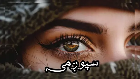 نوی سندره 2026