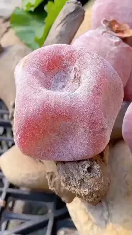 #relaxing #satisfying #asmr #fruits #viral 