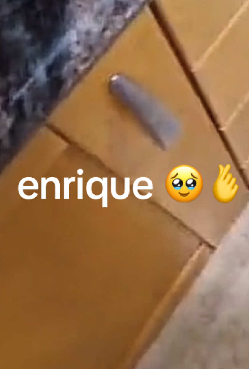 #enrique #meme #reel #funny #🥹 