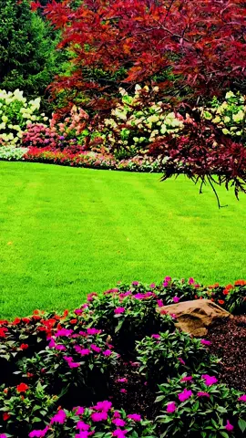 #HappenstanceManor in the #Spring 🌷🪻💐⚘️🌻