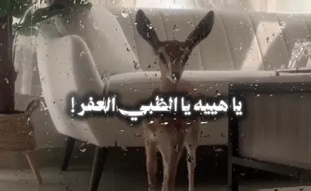 فِ طلعتك كنها القمرر❣️. #مبارك_الدوسري  #اكسبلورexplore 